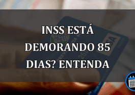 INSS ESTÁ DEMORANDO 85 DIAS? ENTENDA