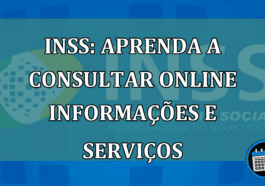 INSS: aprenda a consultar online informacoes e servicos