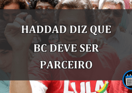 haddad diz que bc deve ser parceiro