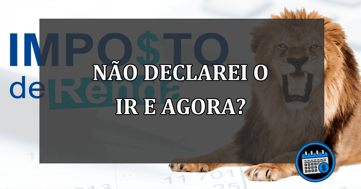 não declarei o IR E AGORA?