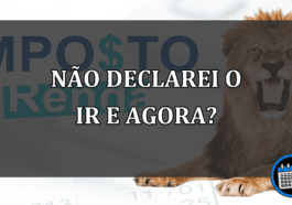 não declarei o IR E AGORA?