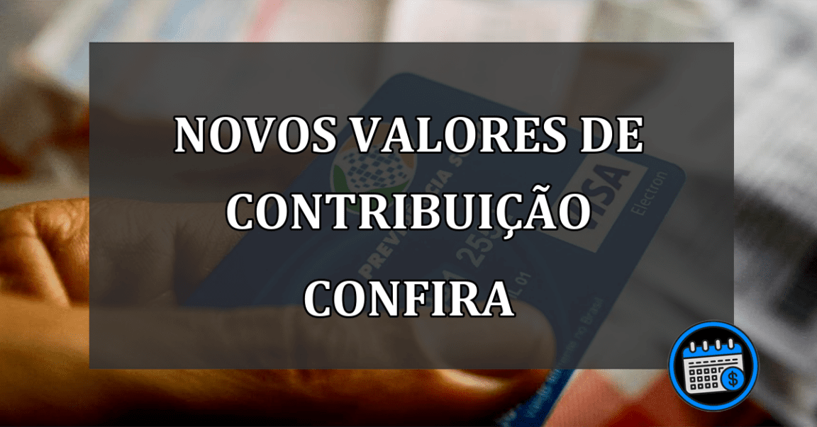 novos valores de contribuição confira