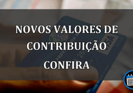 novos valores de contribuição confira