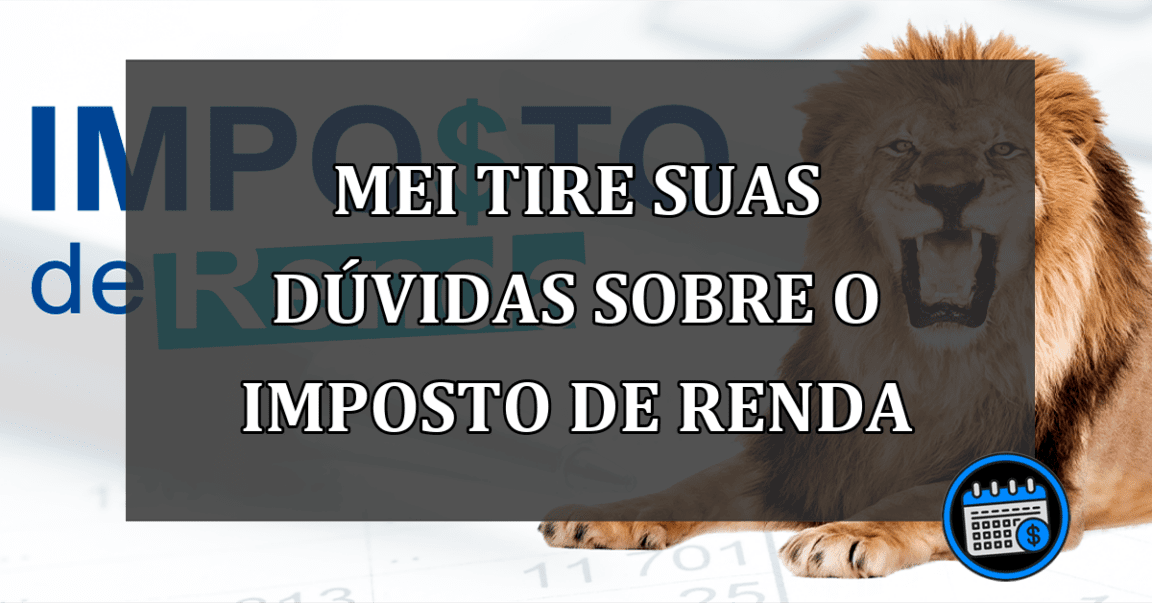 mei tire suas dúvidas sobre o imposto de renda