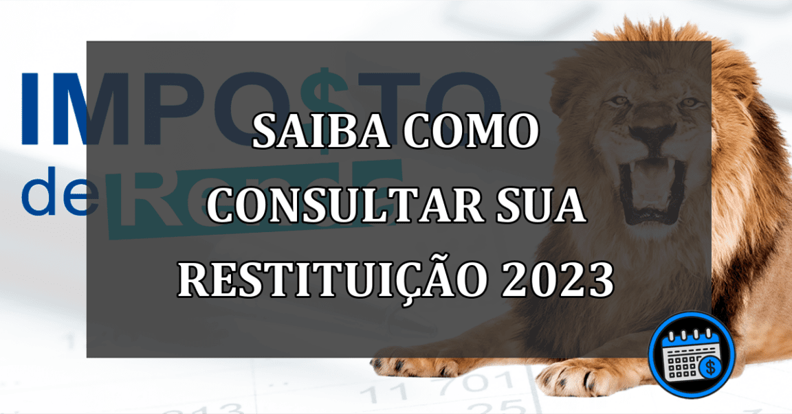 saiba como consultar sua restituição 2023