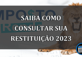 saiba como consultar sua restituição 2023