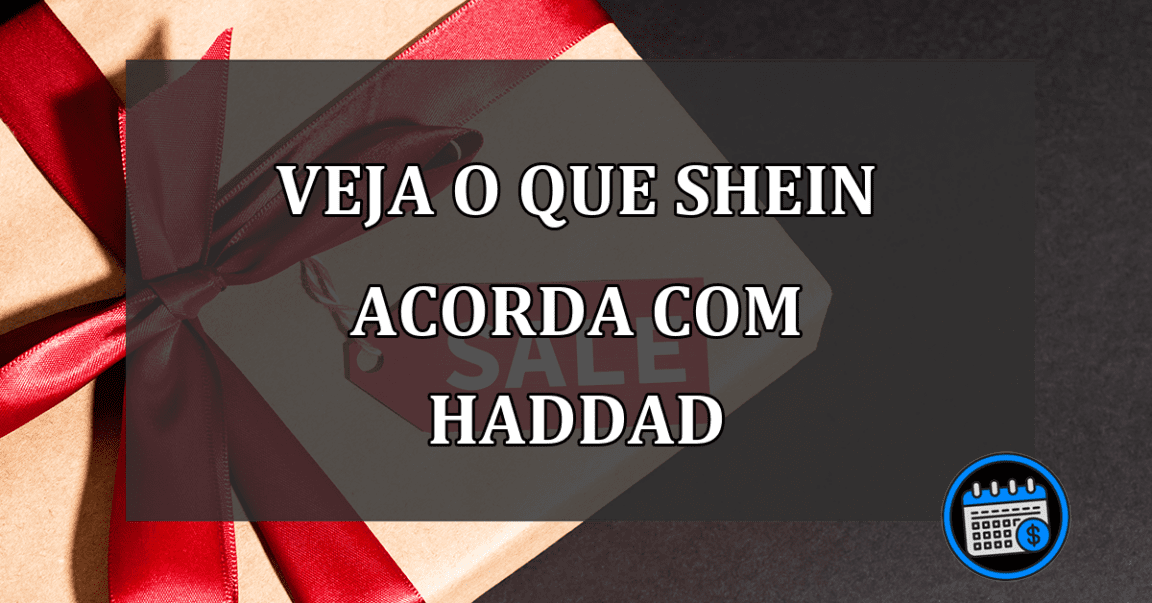 veja o que shein acorda com haddad