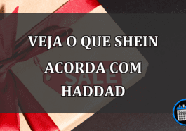 veja o que shein acorda com haddad