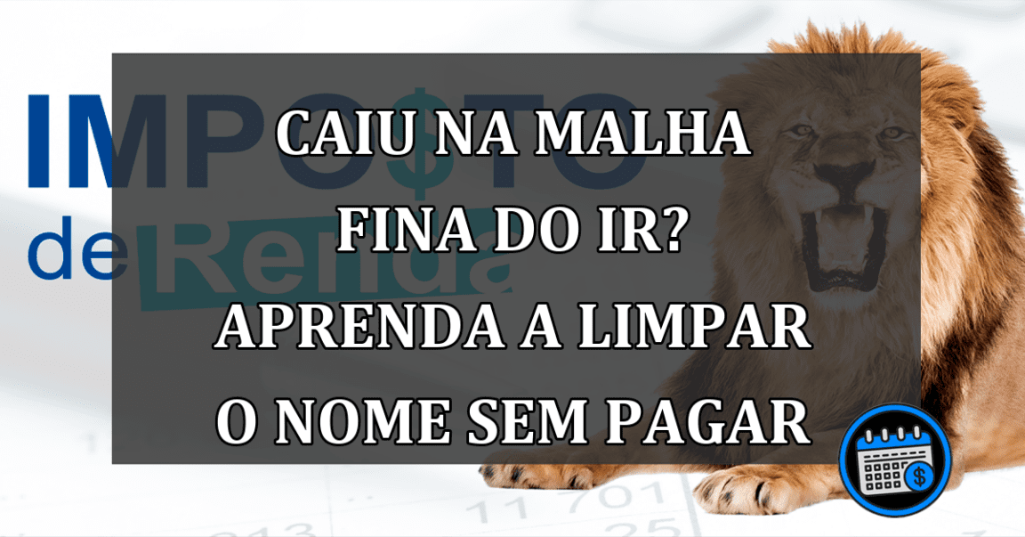 Caiu na MALHA FINA do IR? Aprenda a limpar o nome sem pagar