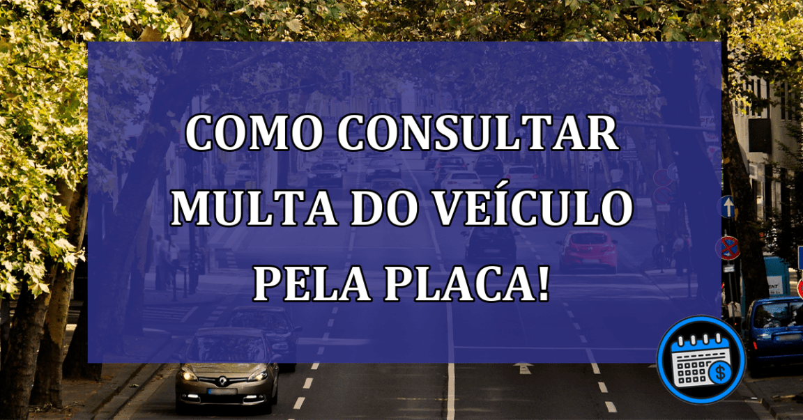 Como CONSULTAR MULTA do veiculo pela placa!