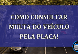 Como CONSULTAR MULTA do veiculo pela placa!