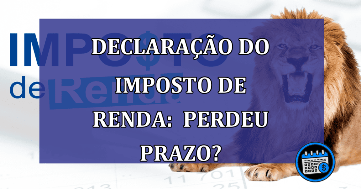 Declaração do Imposto de Renda: perdeu prazo?