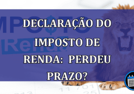 Declaração do Imposto de Renda: perdeu prazo?