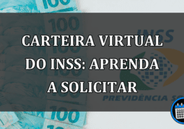 CARTEIRA VIRTUAL do INSS: aprenda a solicitar