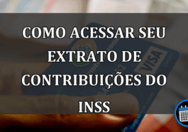 Como acessar seu Extrato de Contribuições do INSS