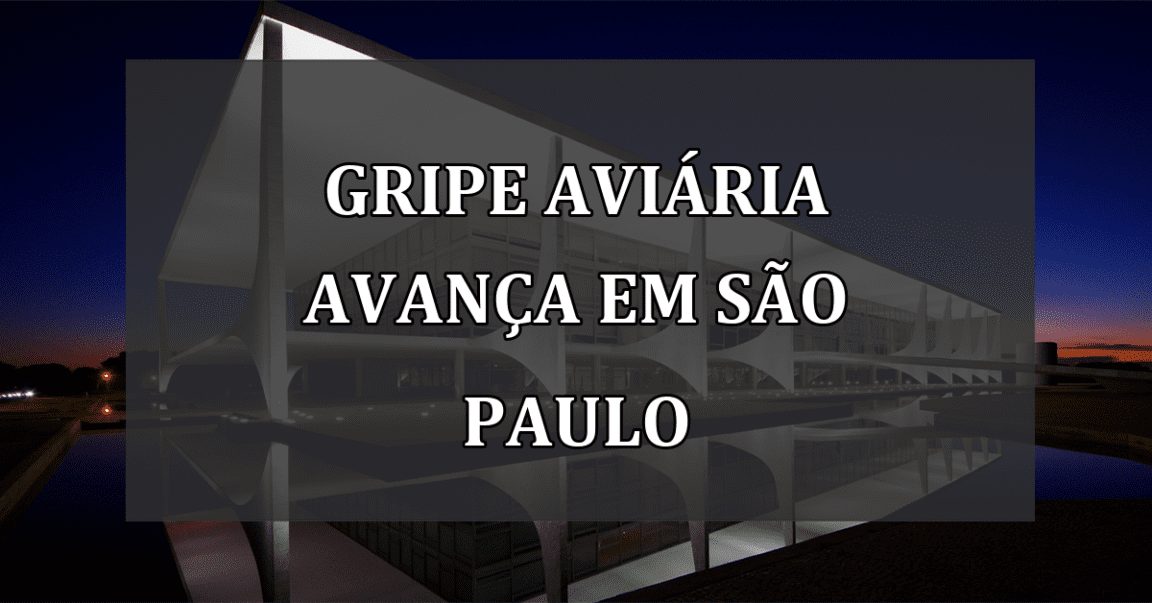 Gripe Aviária Avança em São Paulo