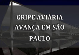 Gripe Aviária Avança em São Paulo