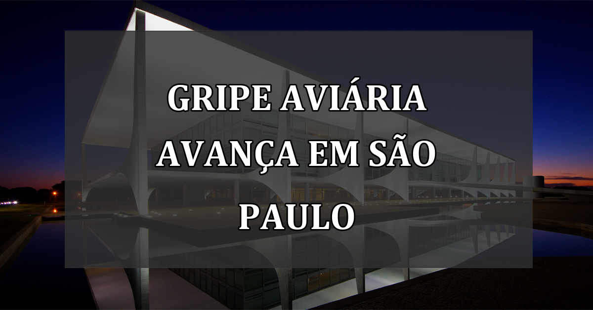 Gripe Aviária Avança em São Paulo