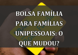 Bolsa Família para Famílias Unipessoais: O Que Mudou?