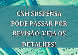 CNH SUSPENSA pode passar por revisao. Veja os detalhes!