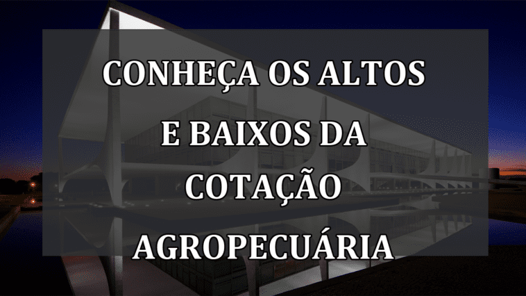 Conheça os altos e baixos da cotação agropecuária