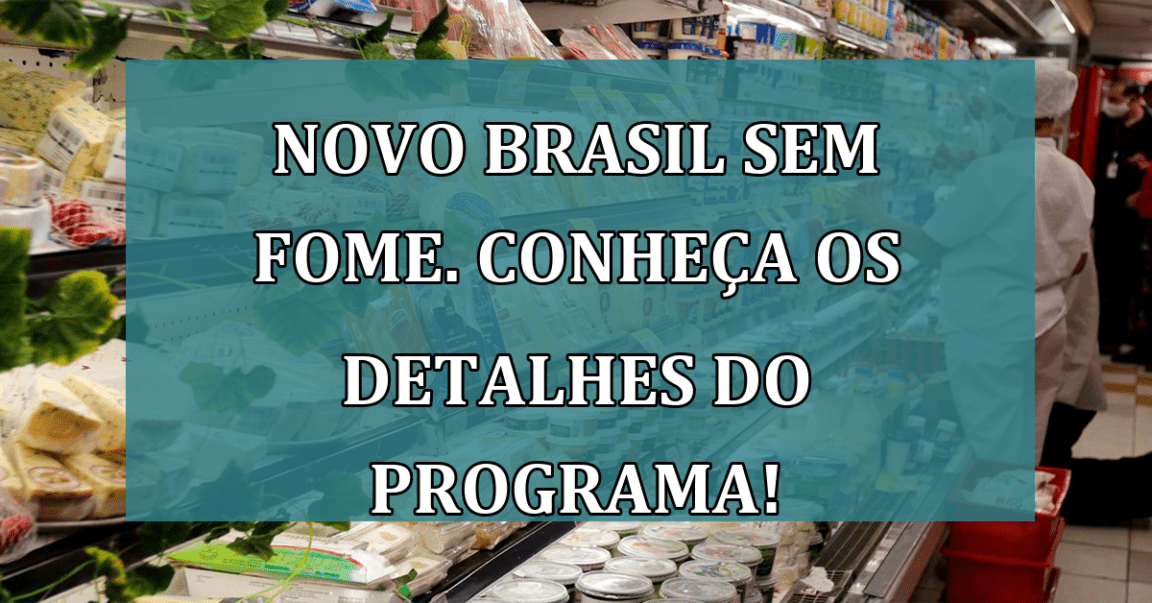 Novo BRASIL SEM FOME. Conheca os detalhes do programa!