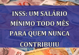 INSS: UM salario minimo todo mês para quem nunca contribuiu