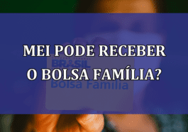 MEI pode receber o Bolsa Familia?