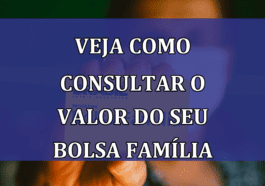 Veja como CONSULTAR o valor do seu Bolsa Familia