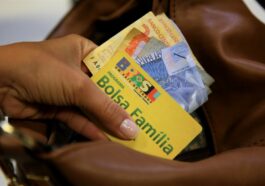 Entenda o Impacto Atualizado e os Benefícios do Bolsa Família em 2024