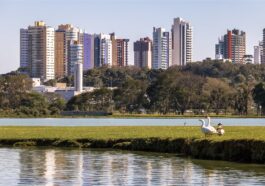 Cidade Lidera Crescimento no Mercado Imobiliário Brasileiro em 2024