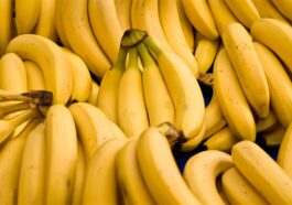 Estudo Revela Benefícios Surpreendentes das Bananas Verdes para a Saúde